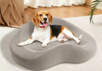 Coussin ergonomique pour chien et chat, tapis de couchage ultra doux et confortable pour animaux de compagnie, nid élégant et lavable pour petits chiens et chatons, utilisation en intérieur