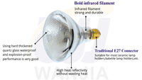Lampe chauffante pour poulets WANJIA R125, ampoule chauffante infrarouge E26 E27, verre semi-rouge, 125W 250W, pour élevage de volailles, ferme d'incubation
