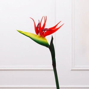 การตกแต่งบ้านทำด้วยมือนกเทียมจากดอกไม้สวรรค์ <span class=keywords><strong>Strelitzia</strong></span> <span class=keywords><strong>reginae</strong></span> ทำจากวัสดุ PU สำหรับปีใหม่และของตกแต่งกิจกรรม - Product Image 5