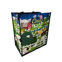 RPET recyclable sac à provisions non tissé avec impression