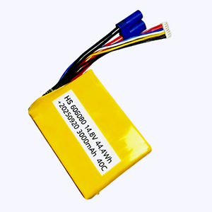 <span class=keywords><strong>Batterie</strong></span> semi-solide LiCoO2 au lithium-ion 60V 3000 cycles Garantie 5 ans pour le <span class=keywords><strong>camping</strong></span>, le drone, la voiture, le véhicule électrique, le démarreur de saut - Product Image 2