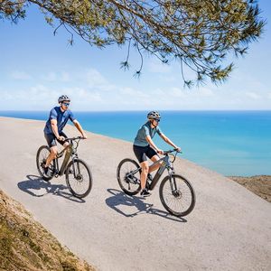 <span class=keywords><strong>Bicicleta</strong></span> Eléctrica de Montaña <span class=keywords><strong>Cecotec</strong></span> con Motor en la Rueda Trasera, Batería de Iones de Litio, Ruedas de 29 Pulgadas, Alcance de 120 km - Product Image 6