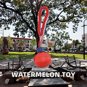 Jouets interactifs Lynpet en caoutchouc pour chiens, balles en corde résistantes aux morsures, en forme de pastèque, pour le nettoyage des dents, sans danger pour les aliments - Product Image 2