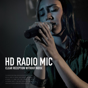 PG48ไมโครโฟนคอนเดนเซอร์อเนกประสงค์4ช่องไร้สาย, ไมค์คาราโอเกะบันทึกเสียงแบบพกพาได้สำหรับสตูดิโอ - Product Image 2