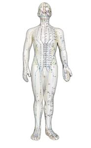 नरम pvc 52 सेमी मानव एक्यूपंक्चर मॉडल बिंदु स्पष्ट रूप से चीनी चिकित्सा शिक्षण के लिए आधार निर्धारित बिंदु - Product Image 2