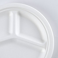 Boîte à lunch jetable biodégradable de 10 pouces en bagasse de canne à sucre avec bagasse maintenant disponible sur le marché des EAU