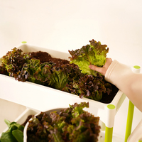 Rak Pot Bunga Modern Plafarm, Set Rak Pot Plastik Ringan yang Dapat Ditumpuk, Rak Penyimpanan Pot Tanaman untuk Balkon, Taman, Teras, dan Pot Tanaman Herbal