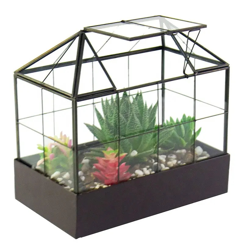 Indoor Tabletop Orchid Sukkulente Kakteen Terrarium Kit Große hohe Pflanze Glas Gewächshaus Terrarium mit Deckel und Tablett