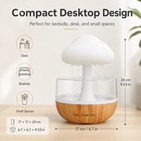 Humidificateur créatif en forme de nuage, décoration esthétique pour la maison, fontaine à goutte d'eau, diffuseur, son de pluie sensoriel, machine d'aromathérapie