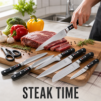 Ensemble de 13 couteaux de chef en acier inoxydable tranchants pour la cuisine domestique, le barbecue familial, les grillades et les dîners de steak au quotidien