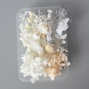 CNMI getrocknete Blumen für Aroma therapie Kerze Schmuck Handwerk Nagel dekoration Plastiktüte Bunte natürliche handgemachte Geschenke Angeln - Product Image 1