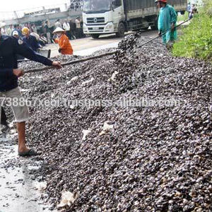 Vietnamese Special <b>Agricultural</b> <b>Waste</b> Cashew Shell Residue for Fueling Material-CASHEW SHELL - Product Image 5
