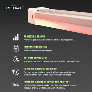 Soluzioni LED di illuminazione del pollame del bestiame con funzione di <span class=keywords><strong>alba</strong></span> e tramonto per l'efficienza dell'azienda agricola del pollame e del caseificio - Product Image 4