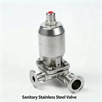 Vanne pneumatique à diaphragme sanitaire 3 voies DN15-DN50, acier inoxydable 316L, raccord Tri-Clamp, raccord en T, actionneur pneumatique hygiénique