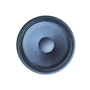 Accuracy Pro Audio RF1501 プロフェッショナルウーファースピーカー 15インチ サブウーファー 高音質 重低音 大規模ステージ向けスピーカー - Product Image 4