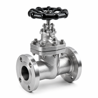 Válvula de Compuerta J41H CF8 Clase 300 de Acero Inoxidable 304 con Brida para Tuberías Industriales, Válvula de Control de Flujo con Sello de PTFE Virgen