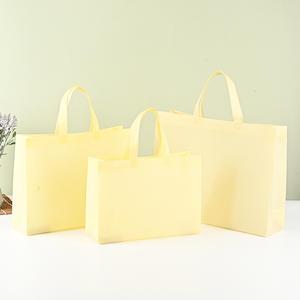 Bolsa de mano Spunbond no tejida reciclable ecológica, bolsa de compras reutilizable de Material PP y PC con logotipo personalizado plegable - Product Image 4