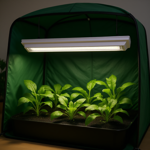 Luz de cultivo LED Barrina 96W de espectro completo, tira T8 de 2 pies, luz blanca y roja para el crecimiento vegetativo en interiores. - Product Image 2