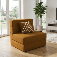 Canapé-lit pliable moderne une place, design compact, emballé sous vide, pour salon, hôtel, appartement