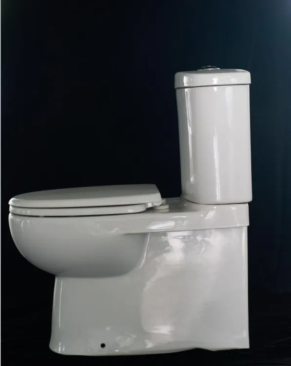 Fabriek Op Maat Wit Vloer Gemonteerd Sanitair Hotel Badkamer Tweedelig Toilet