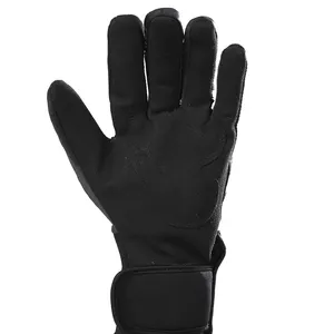 Heating Wire Gloves Rechargeable Battery Heated Ski Motorcycle Gloves
