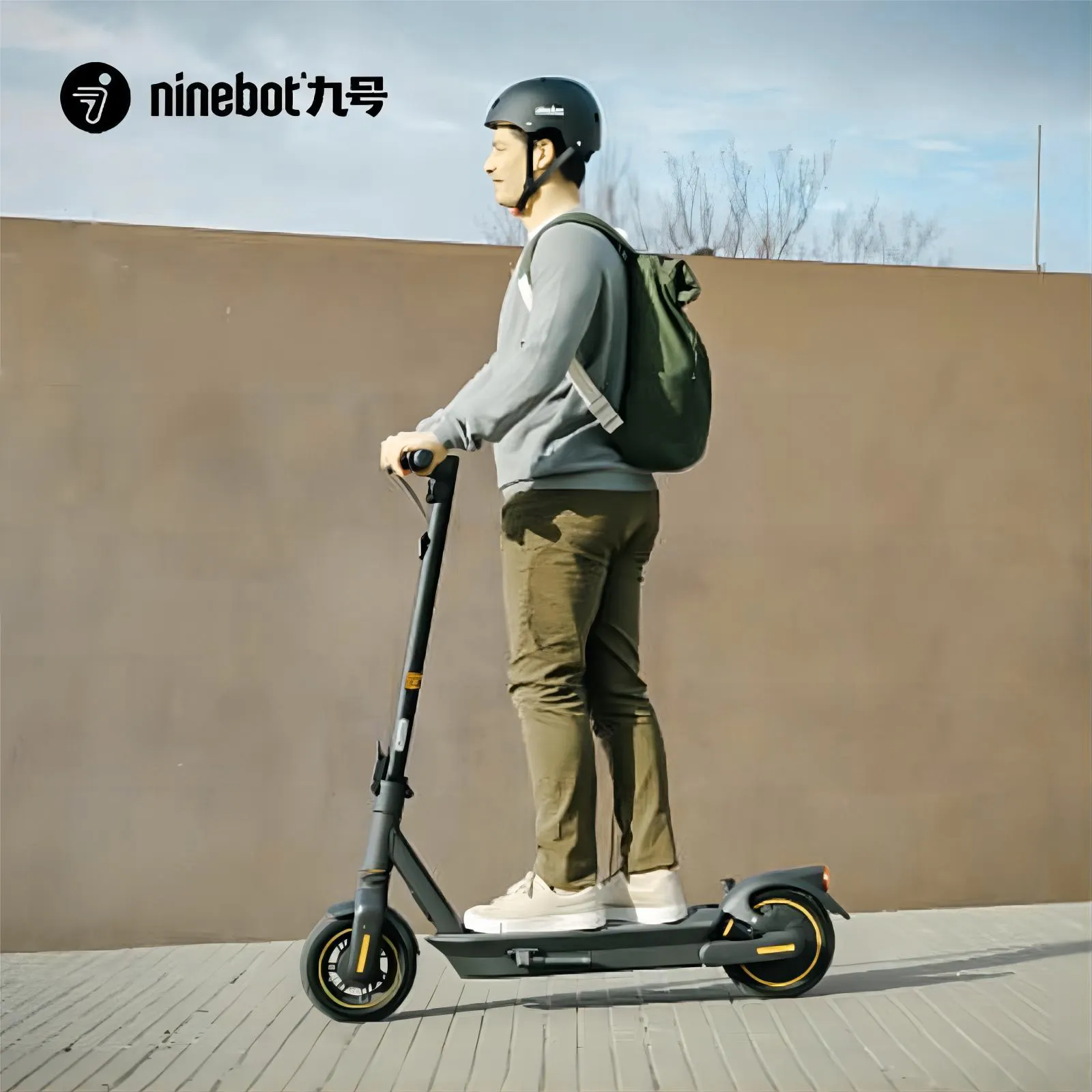 Ninebot Max G2 Off Road 10 pollici 36V 20Ah scooter elettrico scooter per adulti