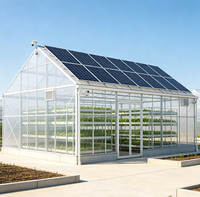 Serre de taille standard commerciale 30 pi x 100 pi pour l'agriculture