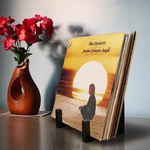 Étagère de rangement pour disques vinyles, style nordique minimaliste, cadre photo, œuvre d'art en métal, support d'affichage pour disques vinyles, support debout simple - Product Image 3