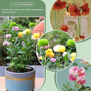 Tiges en pot de fleur d'orchidée papillon réutilisables modernes Supports de plantes en plastique <span class=keywords><strong>Support</strong></span> de jardinage Protection Pots de fleurs Jardinières - Product Image 4