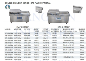 Machine d'emballage sous vide automatique DZ260B certifiée CE pour aliments viande en acier inoxydable - Product Image 2