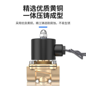 วาล์วโซลินอยด์ทองแดง 2W025-08 วาล์วน้ำ/อากาศ 2W ขนาด 4/8/6/1 นิ้ว สวิตช์ 220V/24V/12V แบบปิดปกติ ควบคุมแก๊ส - Product Image 2