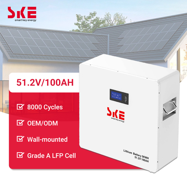 SKE Split Wall-mounted Home Energy Storage 5kWh 5000W System 51.2V 100AH LiFePO4 Pure Sine Wave Home Power Battery