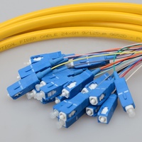 Kabel Pigtail Bundel Serat Optik 24 Core Kustom SC/UPC SM 1.5m G652D 9/125um Singlemode 0.9mm FTTH POE/GSM Selubung PVC/LSZH Patch