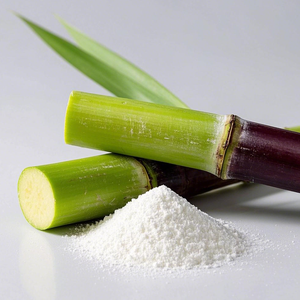 ผงผสมโปรตีนถั่วผงแตงกวาบริสุทธิ์ - Product Image 6