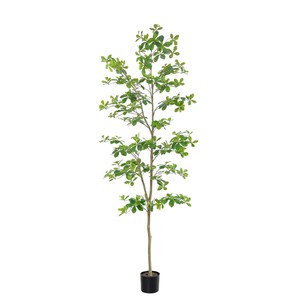 OH ARTS Faux <span class=keywords><strong>Olivier</strong></span> Noir Artificiel Shady Lady, Plante en Pot Réaliste à Feuilles Perpétuelles pour Intérieur, Extérieur, Salon, Jardin, Hôtel, Salle d'Exposition - Product Image 1