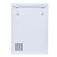 Congélateur au propane à 30 degrés, haute qualité, prix d'usine, vente en gros, porte unique, coffre en option, mini congélateur 138l, BD-138