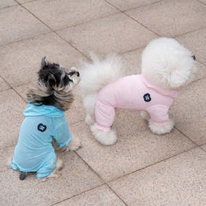 Nouvelle tenue imperméable pour chien 2026 – Manteau quatre pattes en maille <span class=keywords><strong>anti</strong></span>-moustiques, style décontracté pour printemps, été, automne - Product Image 2