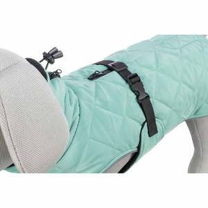 Vêtements pour animaux de compagnie Oslo Urban Style Jade S 36 cm – Un abri élégant pour votre ami à fourrure - Product Image 4