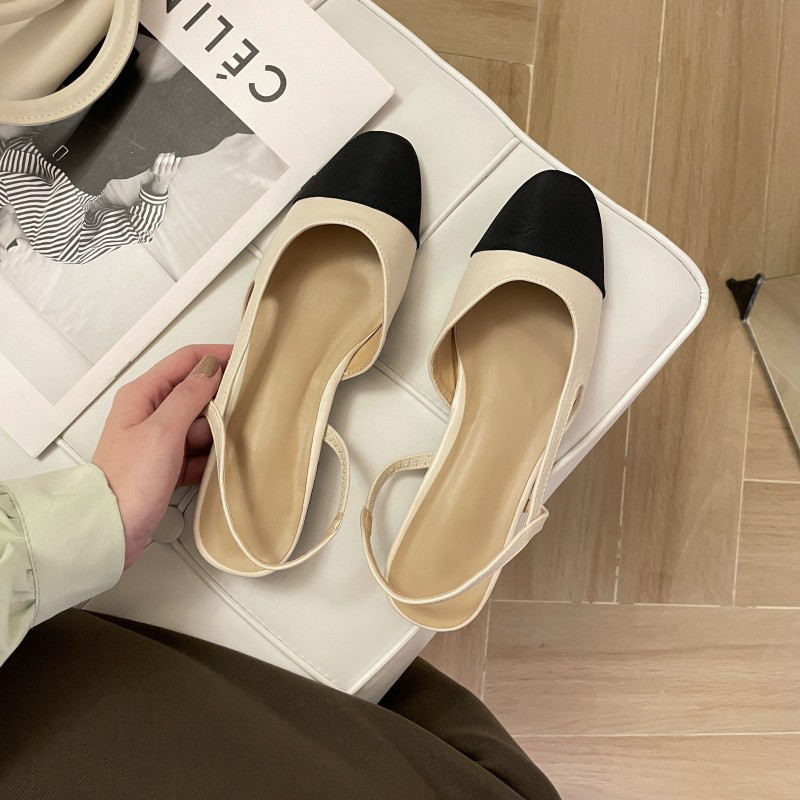 แอปริคอท