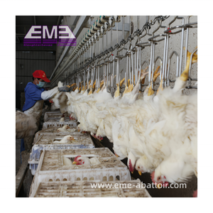Machine à abattre les poulets, machine à plumer les poulets automatique pour l'équipement de <span class=keywords><strong>boucherie</strong></span> avicole - Product Image 5