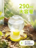 Bouteille d'eau pour insectes, centipèdes et scorpions, grande bouteille d'eau pour éviter les noyades
