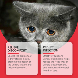 Complément alimentaire pour animaux de compagnie favorisant l'absorption des nutriments <span class=keywords><strong>et</strong></span> soulageant l'inconfort des chats <span class=keywords><strong>et</strong></span> des chiens - Product Image 4