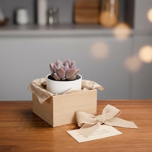 Maceta <span class=keywords><strong>de</strong></span> Cerámica Ecológica, Biodegradable, Ligera, <span class=keywords><strong>de</strong></span> Diseño Moderno y Simple, para Plantas Verdes, <span class=keywords><strong>Suculentas</strong></span> y Flores, para Uso en Escritorio - Product Image 3