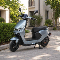 Long Range Electric Motorcycle 1000W Motor 45kmh Top Speed Cruise Control for Adult City Commute Travel