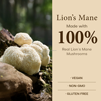Suplemen Kapsul Jamur Lion's Mane Organik Label Pribadi untuk Dewasa, Bukan untuk Wanita Hamil