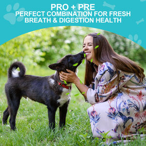 Compra a granel Pro + Pre mordeduras para perros, golosinas Pro + Pre de alta calidad, masticables suaves para la salud intestinal, marca privada Pro + Pre masticables - Product Image 6