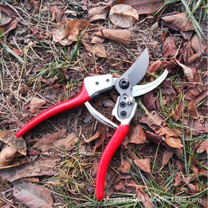 กรรไกรตัดแต่งกิ่งฮิไซจิโระ 702 ใบมีดเหล็กทรงปากนก ด้ามจับกันลื่นสำหรับตัดกิ่งต้นไม้ผลไม้ - Product Image 4