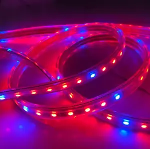 ไฟ LED Strip กันน้ํากลางแจ้งชุดเครื่องทําแถบนีออน RGB ซิลิโคน 5054 24 V 220 V LED Strip ชุดไฟสําหรับรถยนต์