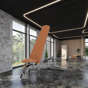 Banco de Gimnasio Multifuncional Plegable Anyfit PEB104, Comercial, Moderno, Metálico, Personalizable, para Ejercicios de Piernas, Multicapa - Product Image 4