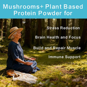 3 in 1ビーガンプロテインパウダーきのこサプリメント保証付きサプリメント200mgきのこブレンドプロテインパウダー - Product Image 5